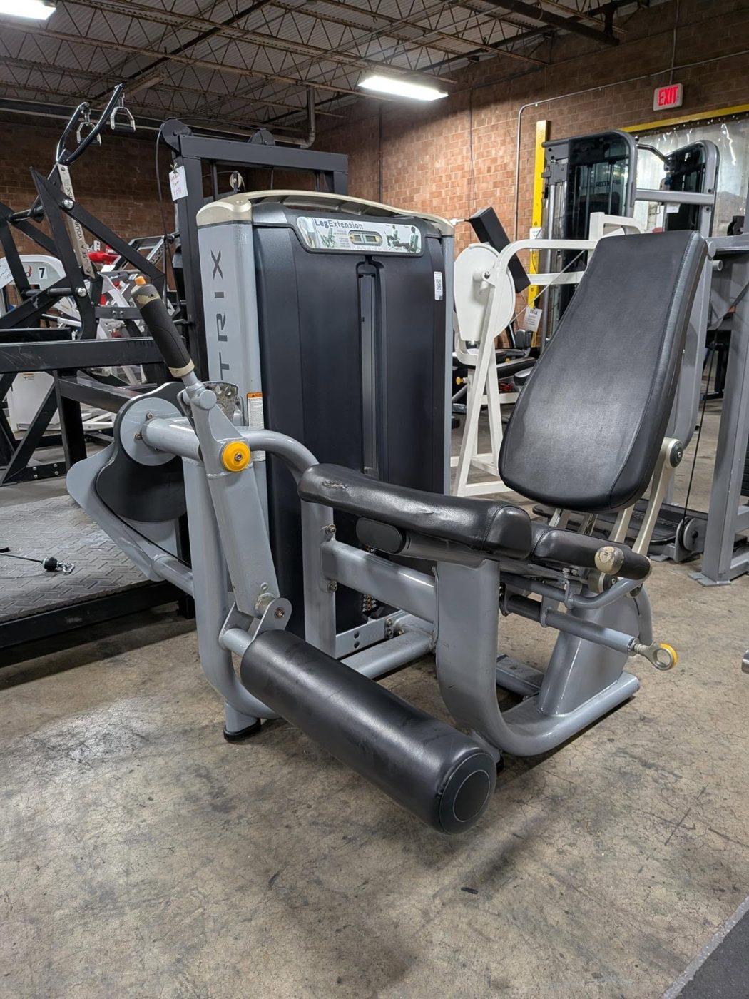 Leg Extension & Leg Curl Machines: Seated, Prone, Standing & Combo Options